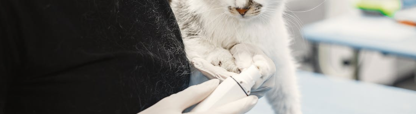 Liste des formations aux métiers animaliers - formations emplois animaux - Zoo Academia